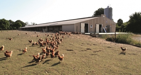Construction de bâtiment avicole : poules bio avec appentis jardin d'hiver