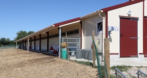 Construction d'un auvent pour bâtiment avicole : Bâtiment 420 m² pour poules label
