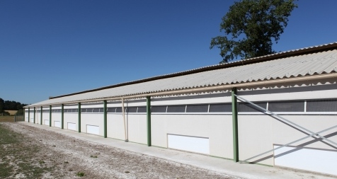 Construction de bâtiments avicoles : Fenêtres PVC sur bâtiment label 420 m²