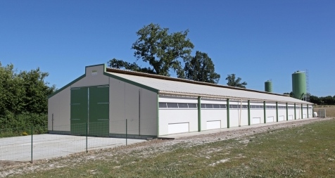 Construction de bâtiments avicoles : Pignon bâtiment poules label 420 m²