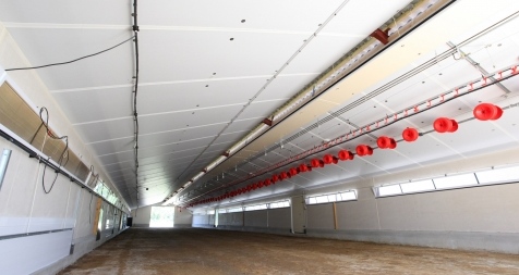 Construction de bâtiment avicoles : Isolation intérieur label 420 m² 